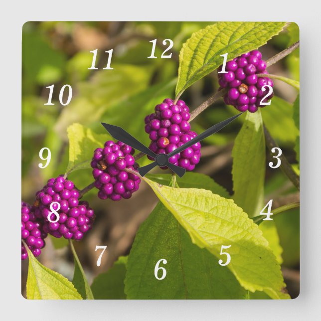 The American Beautyberry Wall Clock (Front)