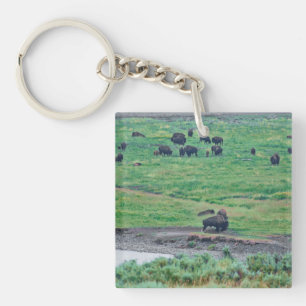 The American Bison Key Ring