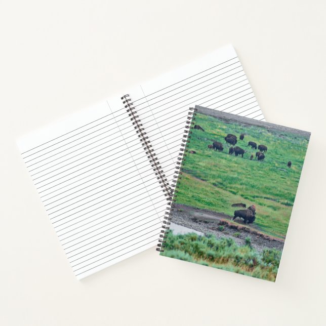 The American Bison Notebook (Inside)