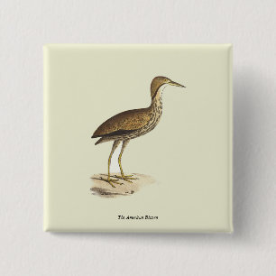 The American Bittern (Botaurus lentiginosus) Bird  15 Cm Square Badge