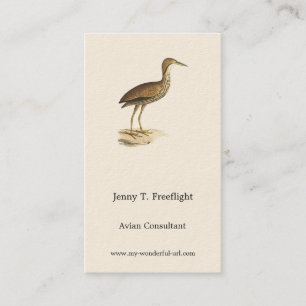 The American Bittern (Botaurus lentiginosus) Bird  Business Card