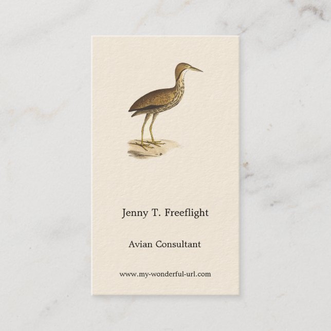 The American Bittern (Botaurus lentiginosus) Bird  Business Card (Front)
