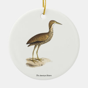 The American Bittern (Botaurus lentiginosus) Bird Ceramic Tree Decoration