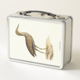 The American Bittern (Botaurus lentiginosus) Bird  Metal Lunch Box