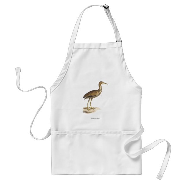 The American Bittern (Botaurus lentiginosus) Bird  Standard Apron (Front)