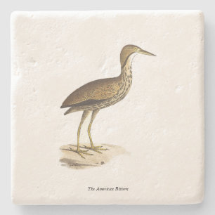 The American Bittern (Botaurus lentiginosus) Bird  Stone Coaster