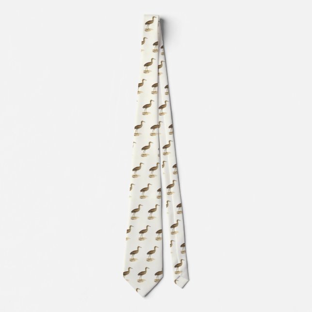 The American Bittern (Botaurus lentiginosus) Bird  Tie (Front)