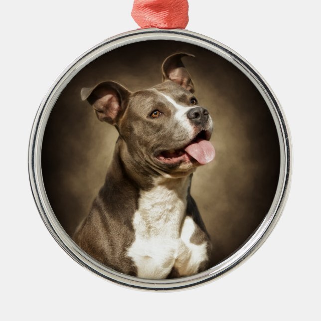 The American Blue Pit-Bull Metal Tree Decoration (Front)