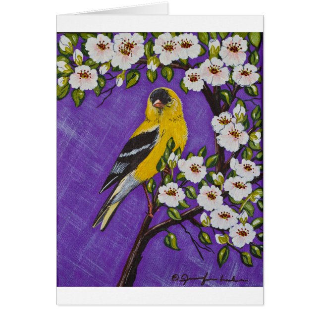 The American Goldfinch (Front)