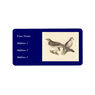 The American Goshawk	(Astur atricapillus) Label