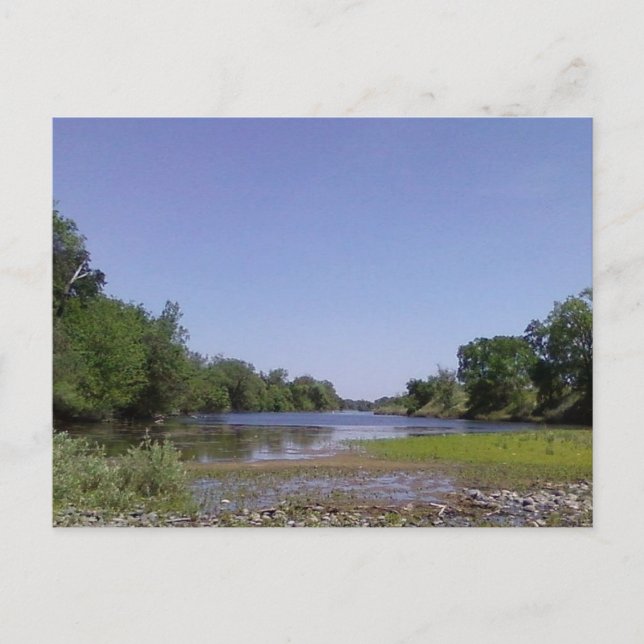 The American River Sacramento,CA Postcard (Front)