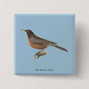 The American Robin (Turdus migratorius) NY Birds 15 Cm Square Badge