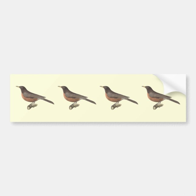 The American Robin (Turdus migratorius) NY Birds Bumper Sticker (Front)