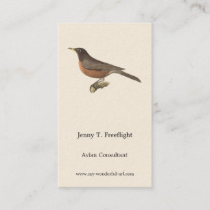 The American Robin (Turdus migratorius) NY Birds Business Card
