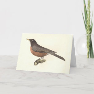 The American Robin (Turdus migratorius) NY Birds Card