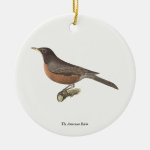 The American Robin (Turdus migratorius) NY Birds Ceramic Tree Decoration