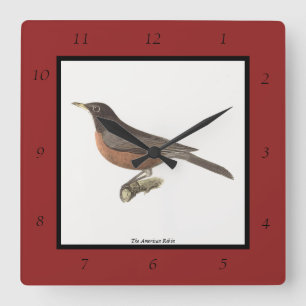 The American Robin (Turdus migratorius) NY Birds Square Wall Clock