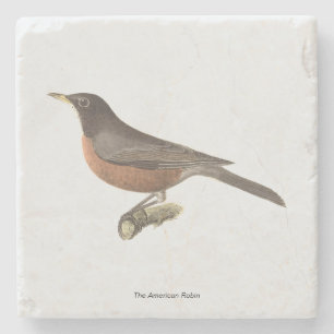 The American Robin (Turdus migratorius) NY Birds Stone Coaster