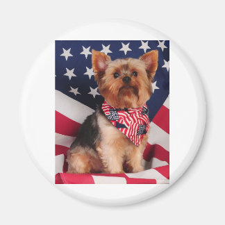The American Yorkie Magnet
