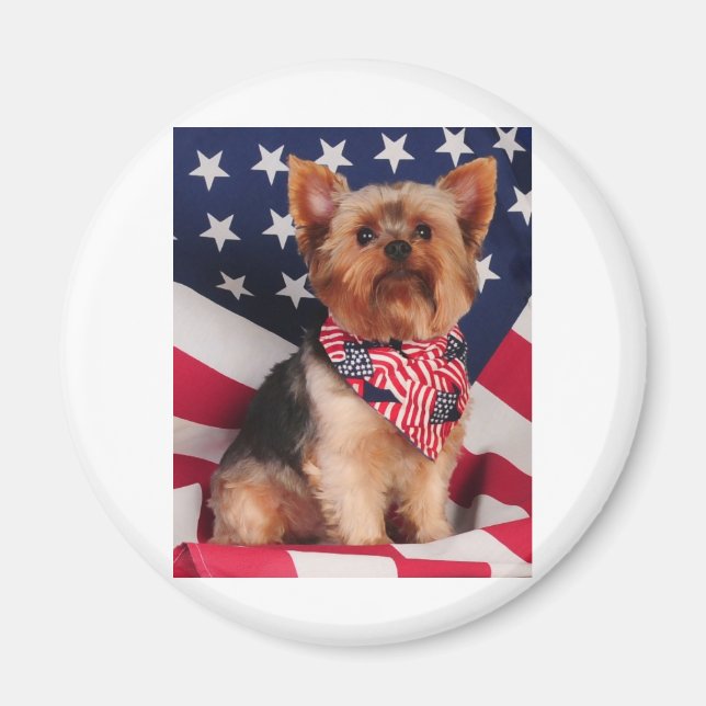 The American Yorkie Magnet (Front)