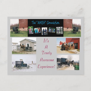 The"AMISH"Connection Postcard
