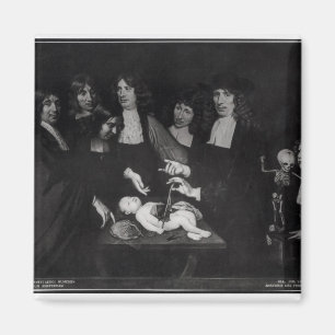 The Anatomy Lesson of Professor Frederik Magnet