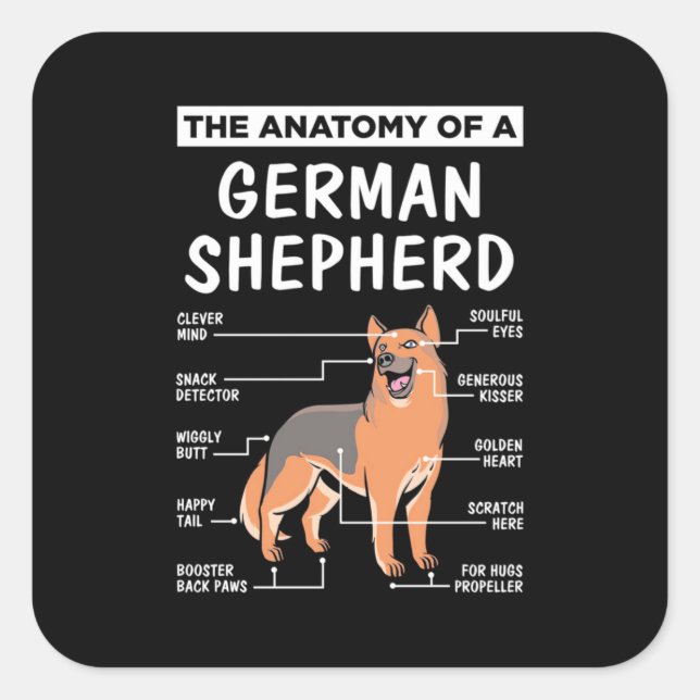 The Anatomy Of A German Shepherd Square Sticker (Front)