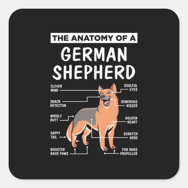 The Anatomy Of A German Shepherd Square Sticker (Front)