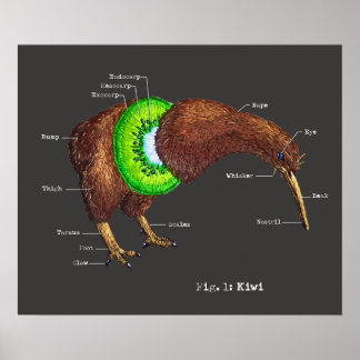 The Anatomy of a Kiwi Poster
