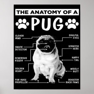 The Anatomy Of A Pug Pet Lover Poster