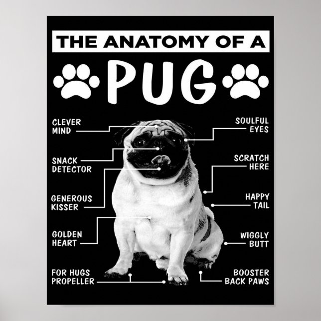 The Anatomy Of A Pug Pet Lover Poster (Front)