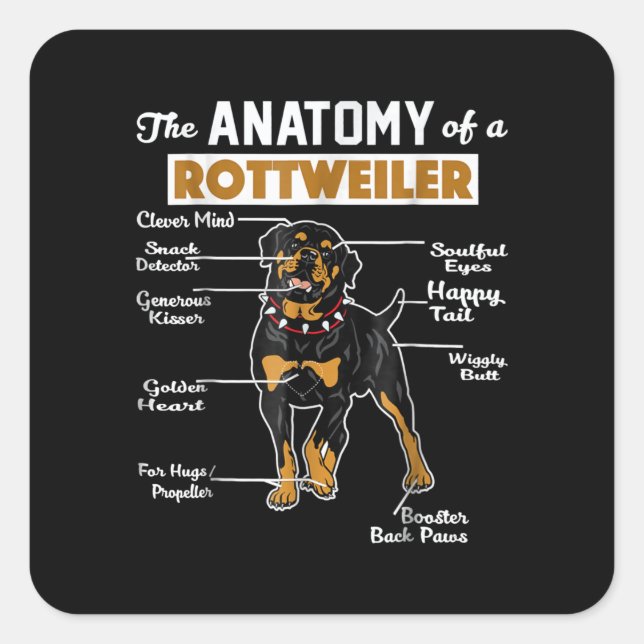 The Anatomy Of A Rottweiler | Cool Dog Lover Square Sticker (Front)