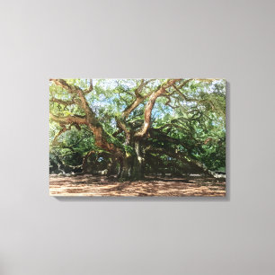 The Angel Oak Watercolor Canvas Print