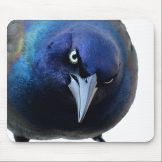 The Angry Grackle Mouse Mat