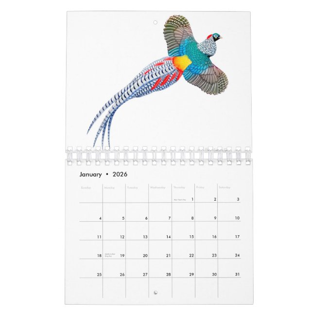 The Animal Artwork of Carolyn McFann Calendar (Jan 2026)