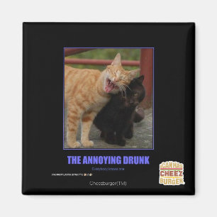 The Annoying Drunk Magnet
