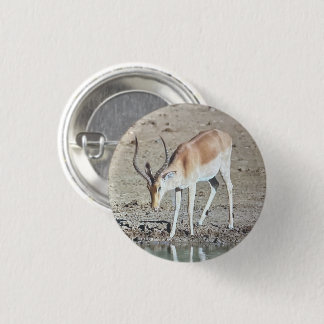 The antelope, 3 cm round badge