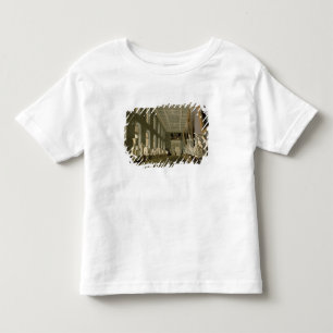 The Antiquities Gallery of Academy of Fine Toddler T-Shirt