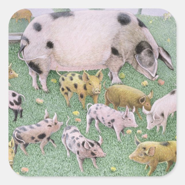 The Apple Feast Square Sticker (Front)