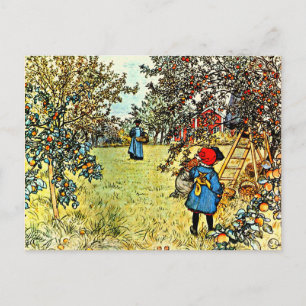 The Apple Harvest Postcard