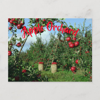 The Apple Orchard Postcard