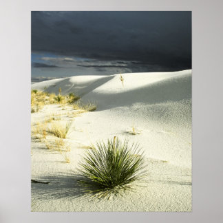 The Approaching Storm Poster