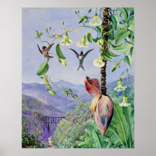 The Aqueduct of Morro Velho Poster