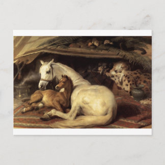 The Arab Tent by Edwin Henry Landseer Postcard