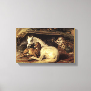 The Arab Tent Canvas Print