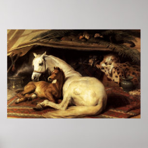 THE ARAB TENT WITH HORSES AND OTHER ANIMALS POSTER