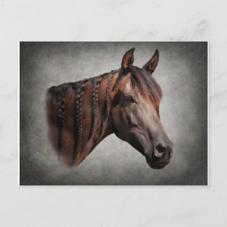 The Arabian Postcard