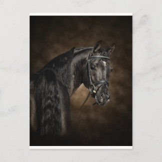 The Arabian Postcard