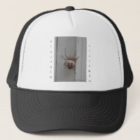 The Arachnid Intricate Design