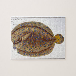 The Argus Flounder (Pleuronectes Argus) plate XLVI Jigsaw Puzzle